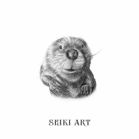 SEIKI設計 - 素描學習 SEIKI設計 - 素描學習