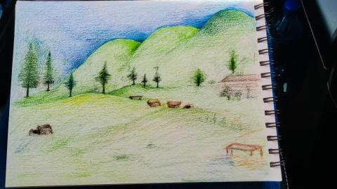 Erica - 速寫-山景