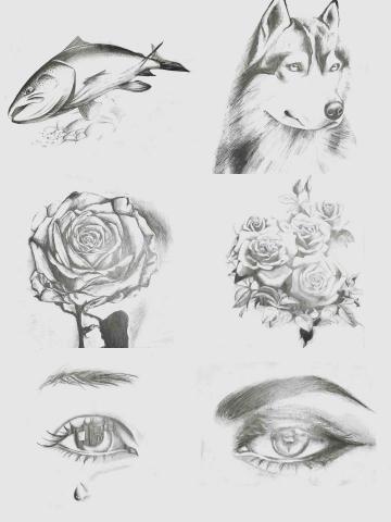 榕 - 動植物素描臨摹