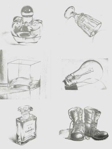 榕 - 物體光影素描臨摹