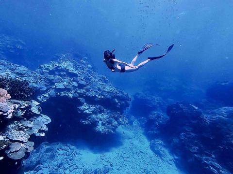 漚泫有限公司 - 蘭嶼潛旅
