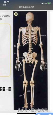 有酸痛請找卓老師 - 