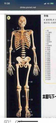 有酸痛請找卓老師 - 