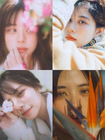 榕 - 特寫寫真作品