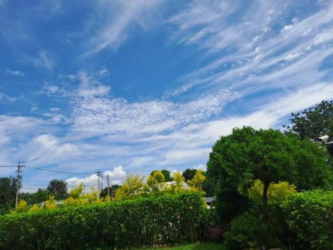 衫衫看護中心 - 具駕照看護可帶家人遊山玩水品味台灣之美