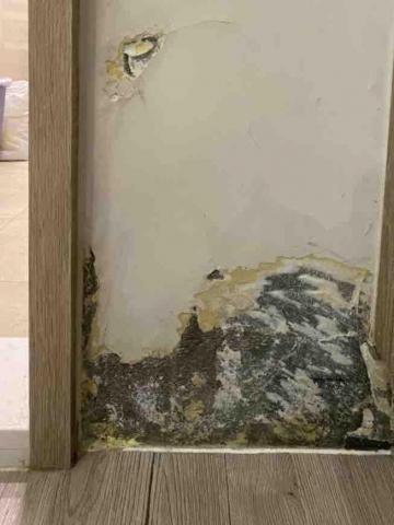 寒藝靈彩有限公司 - 台北中山區
壁癌處理-Before  寒藝靈彩有限公司 - 台北中山區
壁癌處理-Before