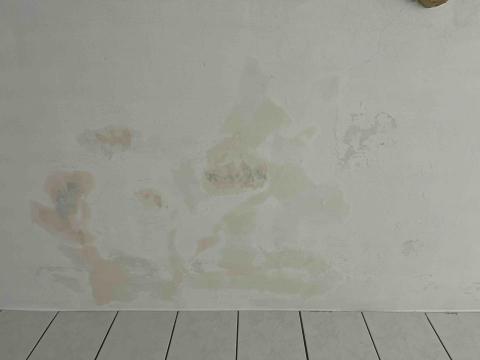 寒藝靈彩有限公司 - 桃園市中壢區
天花板局部壁癌 寒藝靈彩有限公司 - 桃園市中壢區
天花板局部壁癌