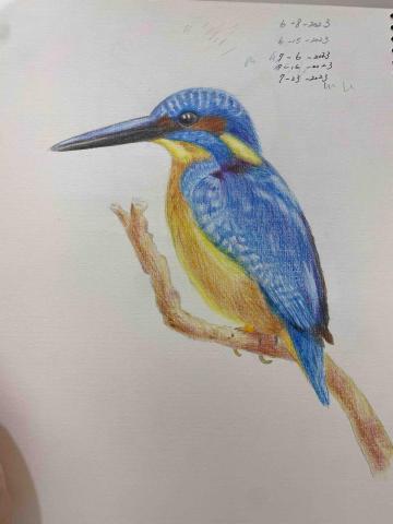 陳老師 繪畫教學 - 