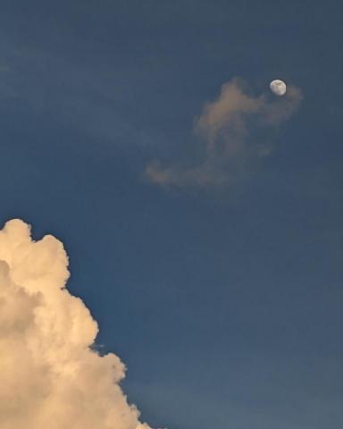 提供tommy包包服務的專家Tommy 