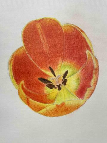 陳老師 繪畫教學 - 