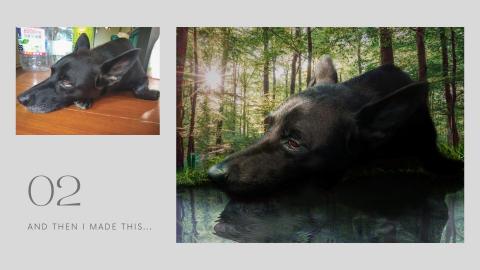 Kiwi's Work Shop - 影像修圖-合成 (素材增加或減少)