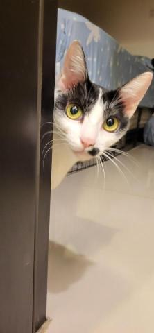 魏志安 - 到府-圈圈