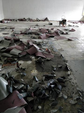 莊小吉 - 台北市 PVC剃除