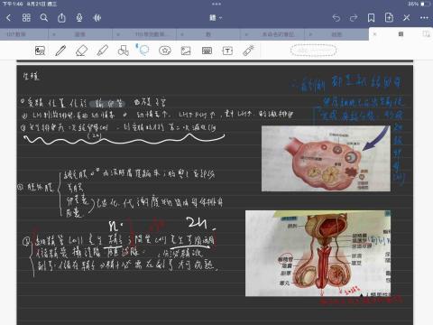 Xinyu - 生物大考筆記