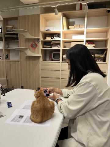 劉怜君 - 貓咪行爲訓練課培訓