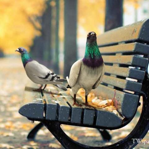 ArtifexAI迅藝-你的美術許願池 - 3D建模+Rigging