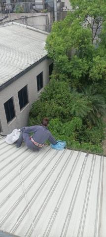 園藝相關業務 - 