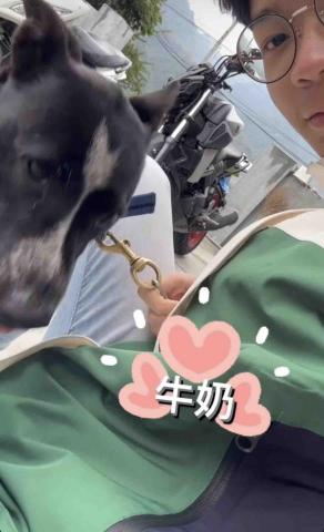 賴昱升 - 跟狗狗玩