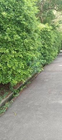 園藝相關業務 - 