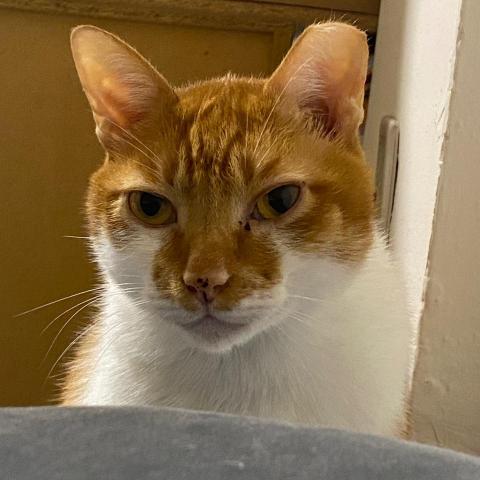 提供填縫服務的專家竣傑 楊