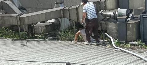 園藝相關業務 - 