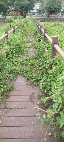 園藝相關業務 - 