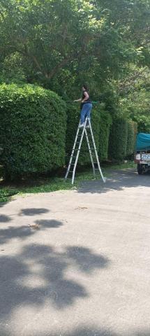 園藝相關業務 - 