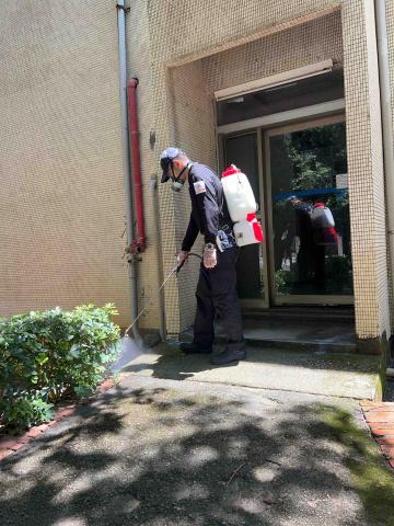 傑出專業除蟲工作室-專業除白蟻服務 - 新竹陽明交通大學-螞蟻防治
