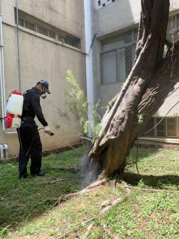 傑出專業除蟲工作室-專業除白蟻服務 - 新竹陽明交通大學校舍戶外-螞蟻防治