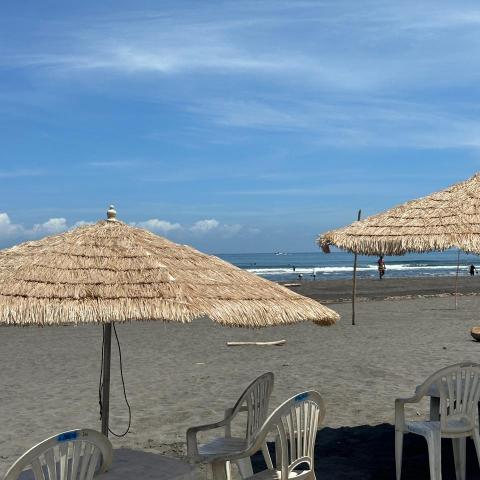 提供照片似顏繪app服務的專家Vivian