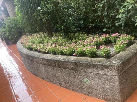 揚子園藝工程行 -  揚子園藝工程行 -