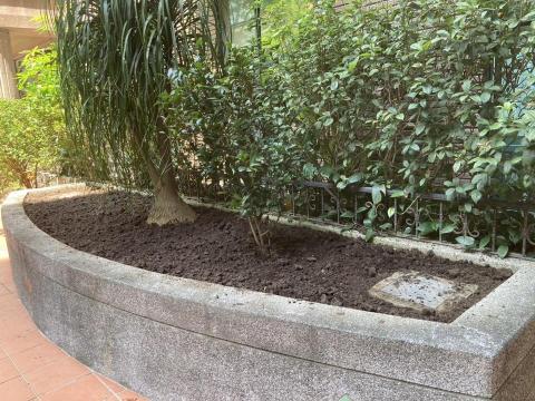 揚子園藝工程行 -  揚子園藝工程行 -