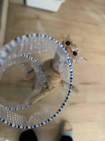 Tracy - 一起玩最開心