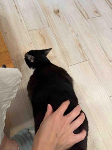 Tracy - 超愛被摸屁屁