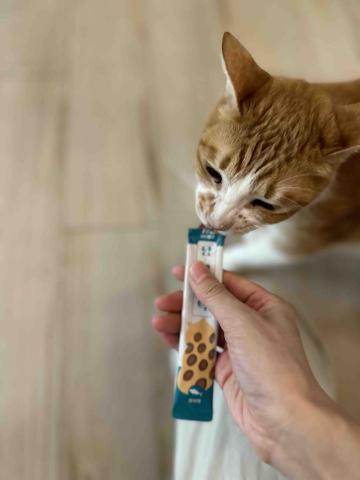 Tracy - 用肉泥與貓貓慢慢建立信任關係