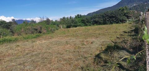 威藝企業社 - 雜草維護