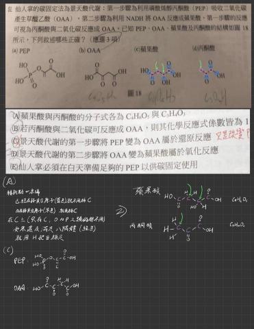 蕭維呈 - 做給上一個家教的生物筆記(部分)