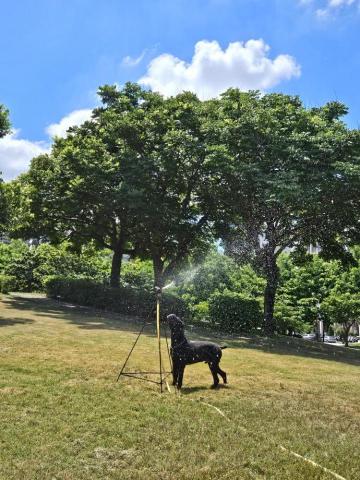 心繪🐾 - 沙龍級的美照！