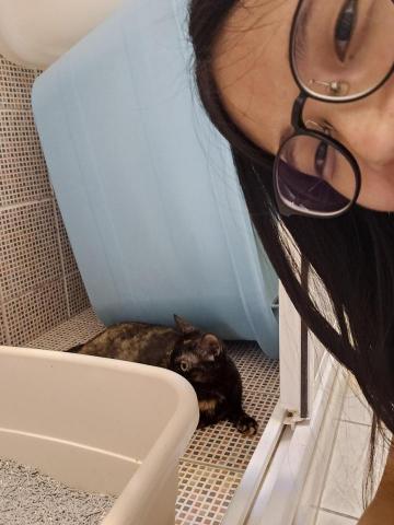 心繪🐾 - 清理貓砂時佳佳在旁邊 感到溫暖又可愛❤️