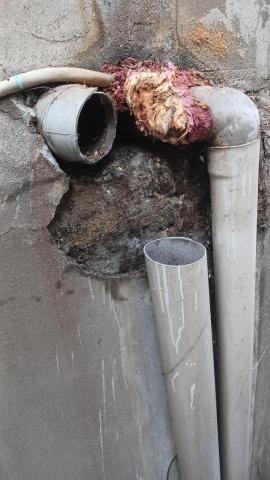 林昆鋒 - 維修後