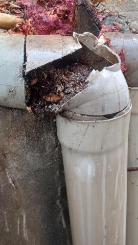 林昆鋒 - 管路維修