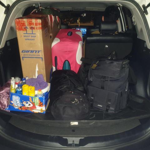 楊先生 - 載運行李貨物