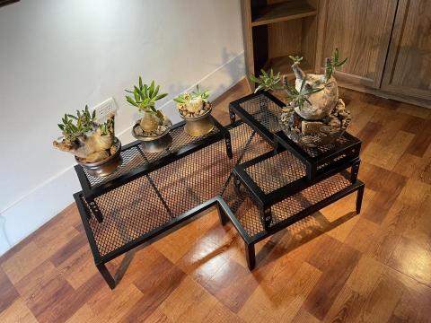 悍火金屬工作室 - WSF製作各式植物花架
各種尺寸、形狀歡迎討論訂製