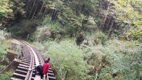 瘋遊台灣 接送機 團體 個人 家庭 包車旅遊 - 北京客戶阿里山鐵路