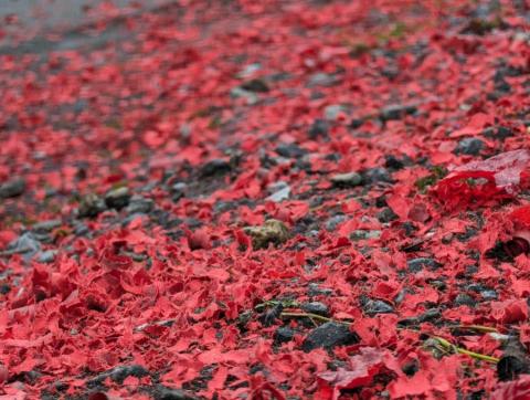 星辰影音工作室 - 