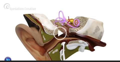 視界創作有限公司 - 