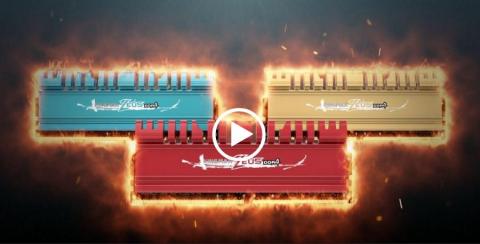 視界創作有限公司 - 