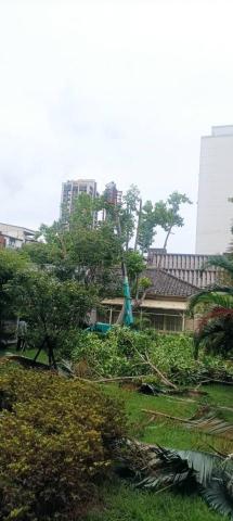 園藝相關業務 - 