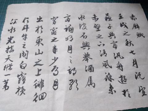 Elsa老師鋼琴家教 Elsa老師鋼琴家教
