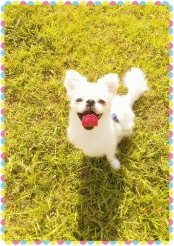 提供寄養服務的專家鄭沅庭